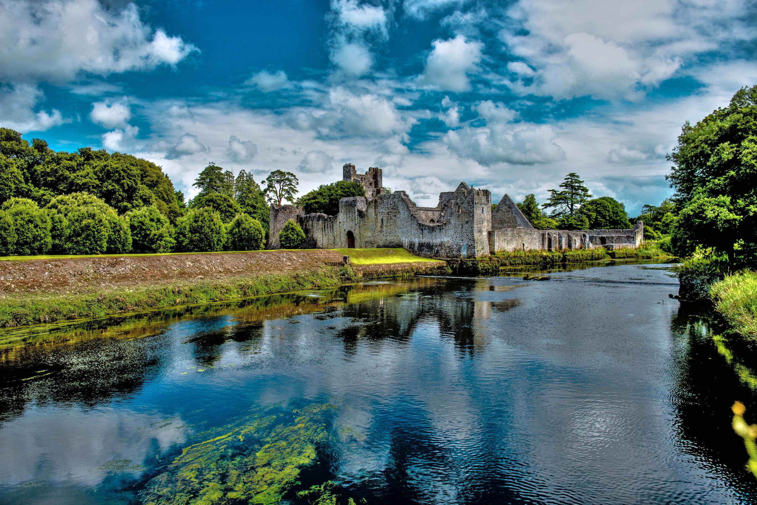 desmond_castle