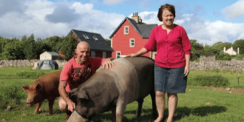 rigney-farm rigney-farm